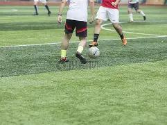 巴黎圣日耳,曼在法甲,轮赛事中实,金年会,JinNianHui,金年会体育官网,金年会官网,金年会体育下载