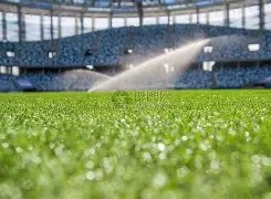 内马尔助球,队三球,角球建功,金年会,JinNianHui,金年会体育官网,金年会官网,金年会体育下载