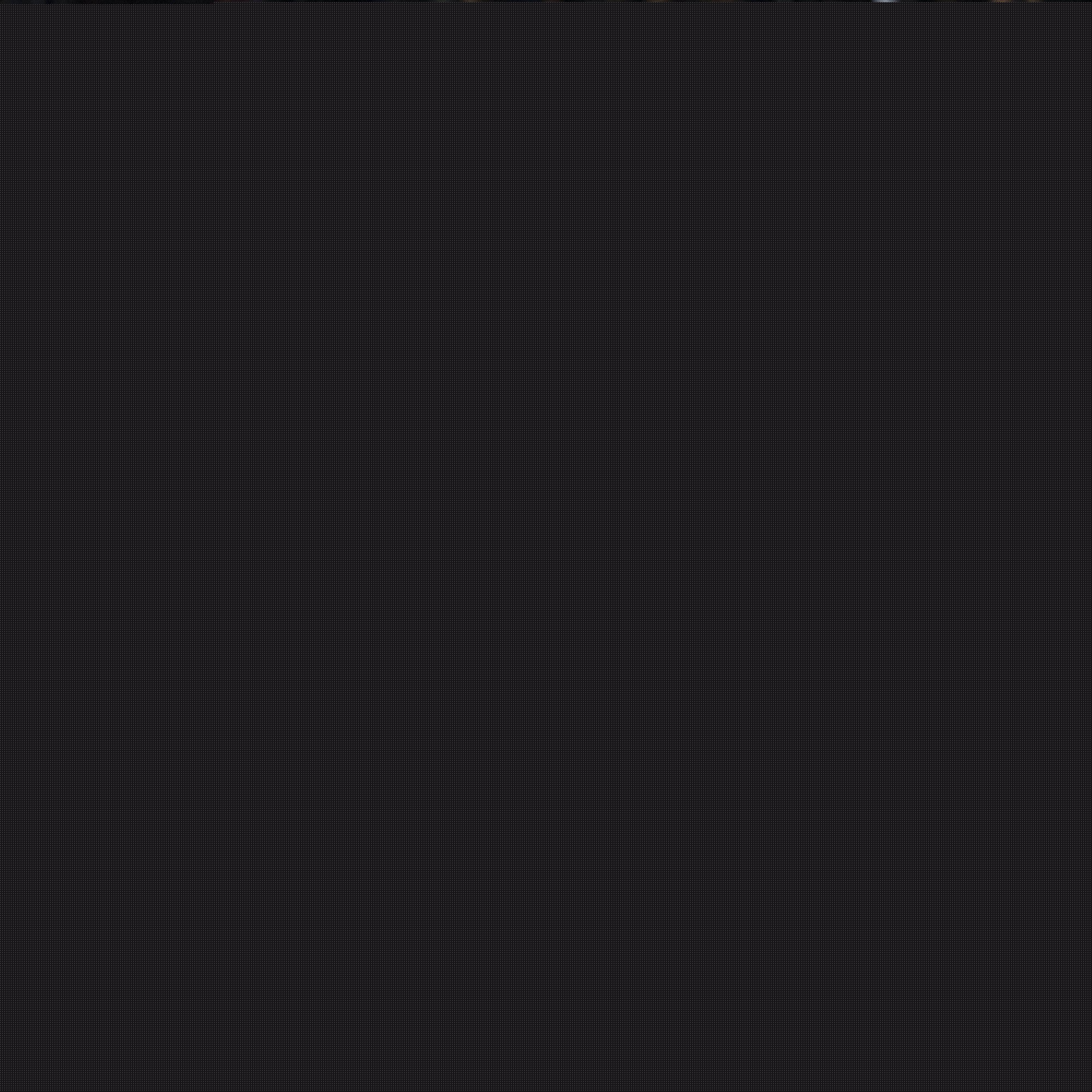 投注者们关